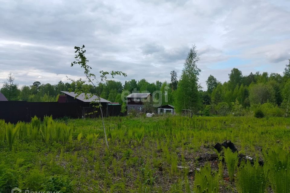 земля ЗАТО Железногорск городской округ, СТ Рассвет фото 3