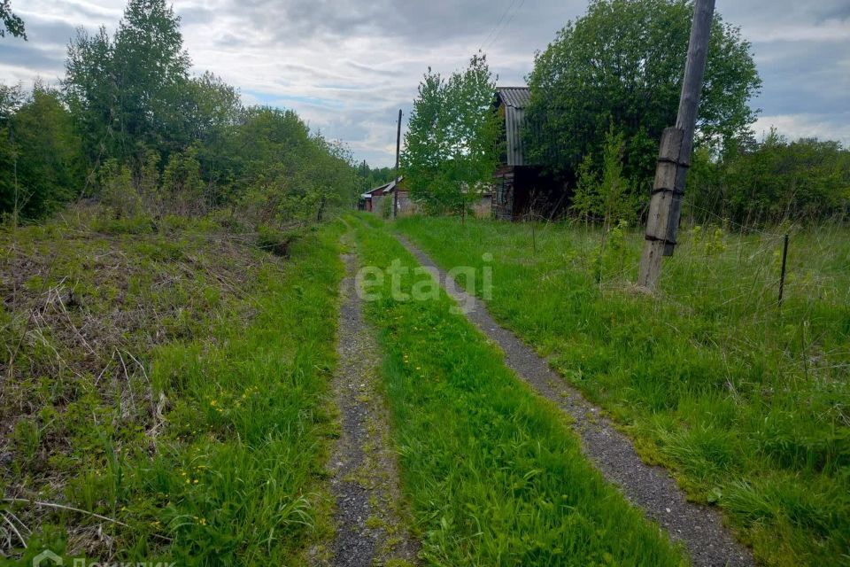 земля ЗАТО Железногорск городской округ, СТ Рассвет фото 3