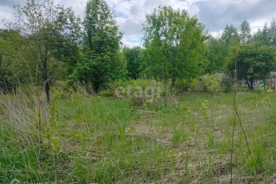 земля ЗАТО Железногорск городской округ, СТ Рассвет фото 2