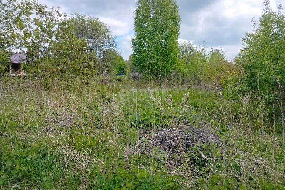 земля ЗАТО Железногорск городской округ, СТ Рассвет фото 4