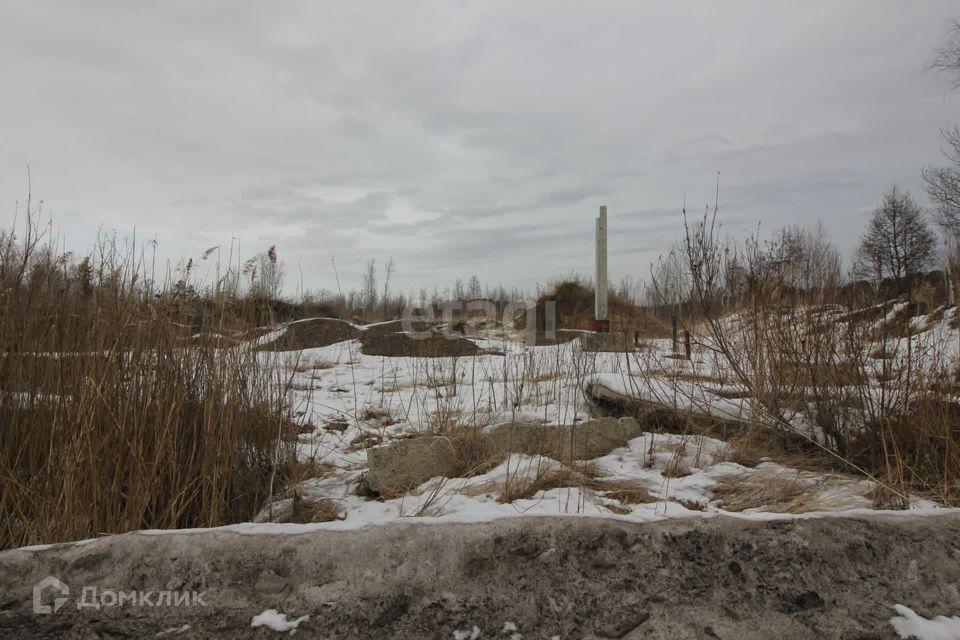 земля ЗАТО Железногорск городской округ, СТ №52, Средняя, 2 фото 4