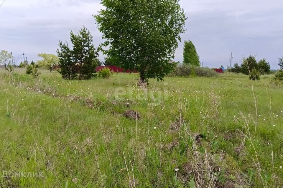 земля р-н Березовский фото 2