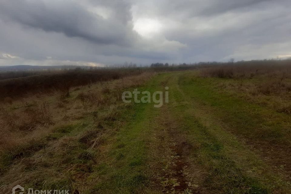 земля р-н Новокузнецкий с Ильинка ул Старцева 20 Кемеровская область — Кузбасс фото 4