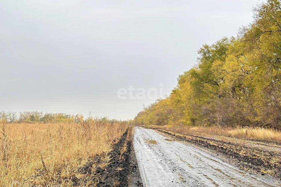 земля р-н Новоусманский Новая Усмань фото 3