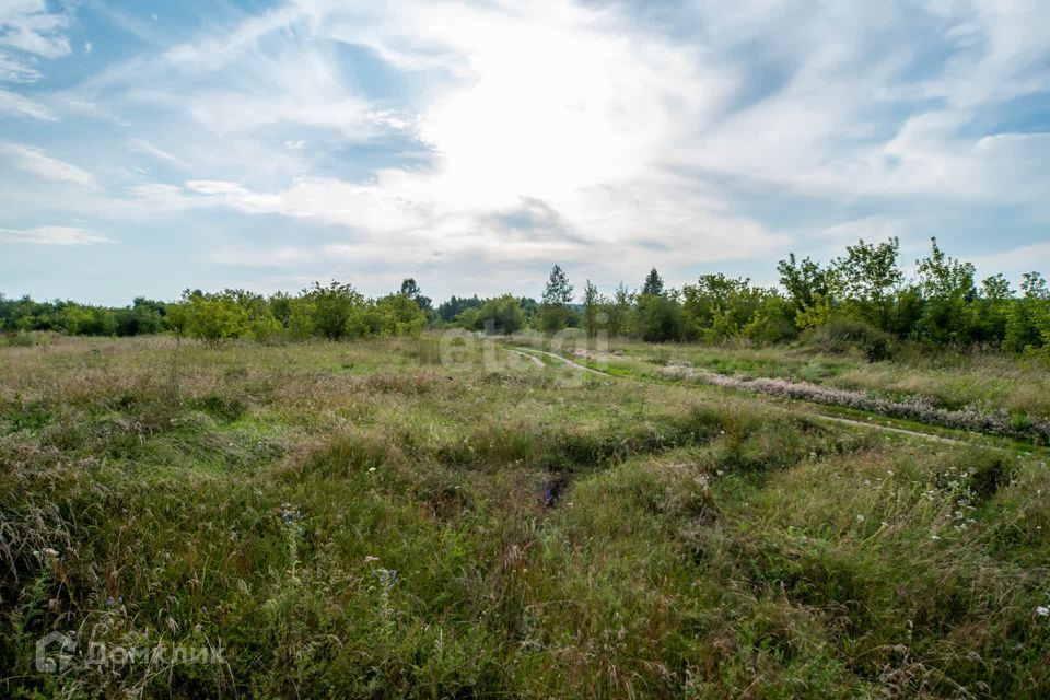 земля г Бийск с Фоминское ул Школьная 11 городской округ Бийск фото 4