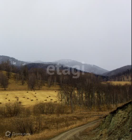 земля р-н Чемальский Анос фото 2