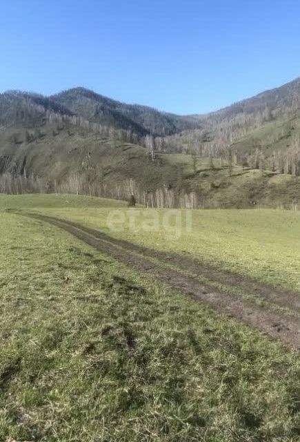 земля р-н Чемальский с Элекмонар Кемчик фото 2