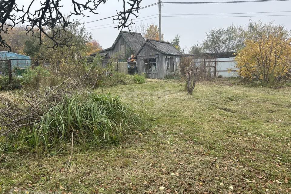 земля Пионерский городской округ, СМ Пограничный фото 2