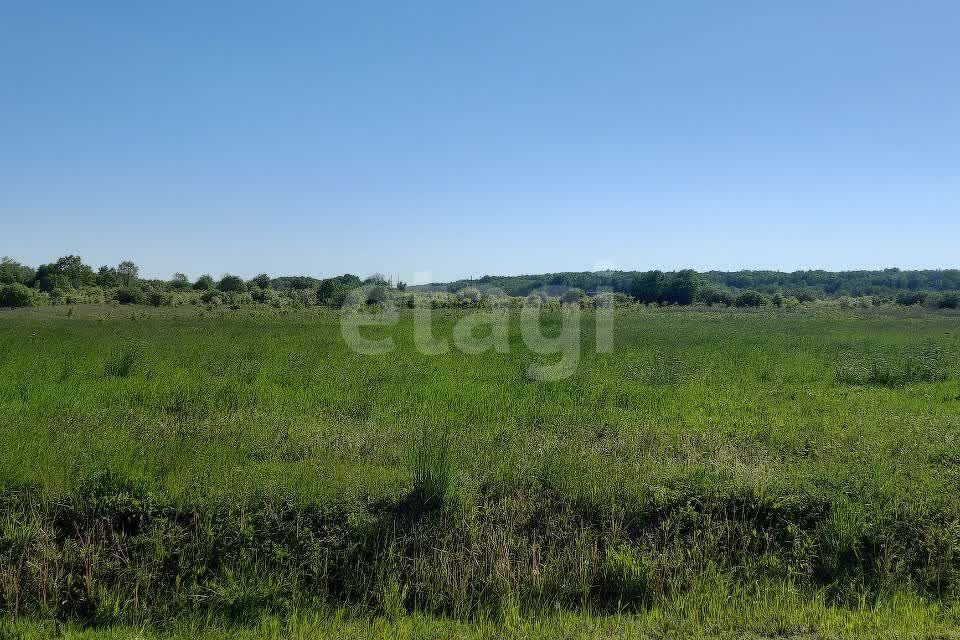 земля г Калининград Калининград городской округ, СТ Мелиоратор фото 2