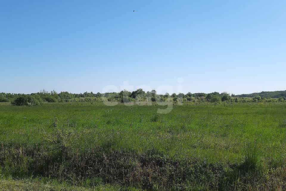 земля г Калининград Калининград городской округ, СТ Мелиоратор фото 3