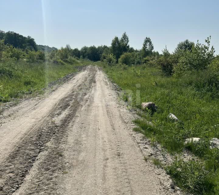 земля р-н Зеленоградский г Зеленоградск СТ Прибой фото 2