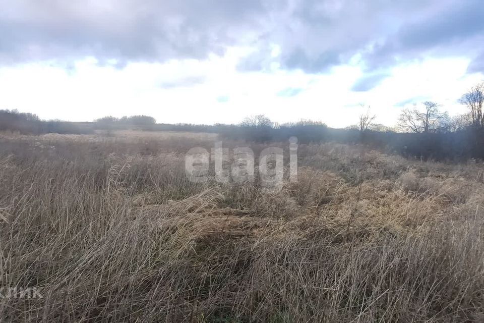 земля р-н Зеленоградский п Сиренево Сооружение фото 4