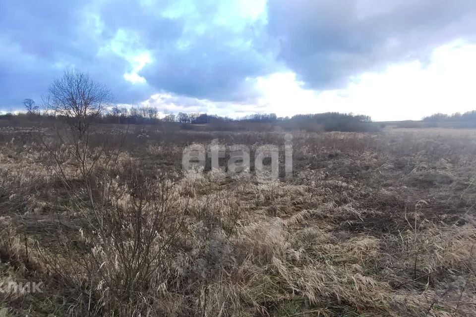 земля р-н Зеленоградский п Сиренево Сооружение фото 2