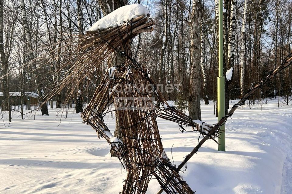 земля городской округ Домодедово с. Успенское фото 7