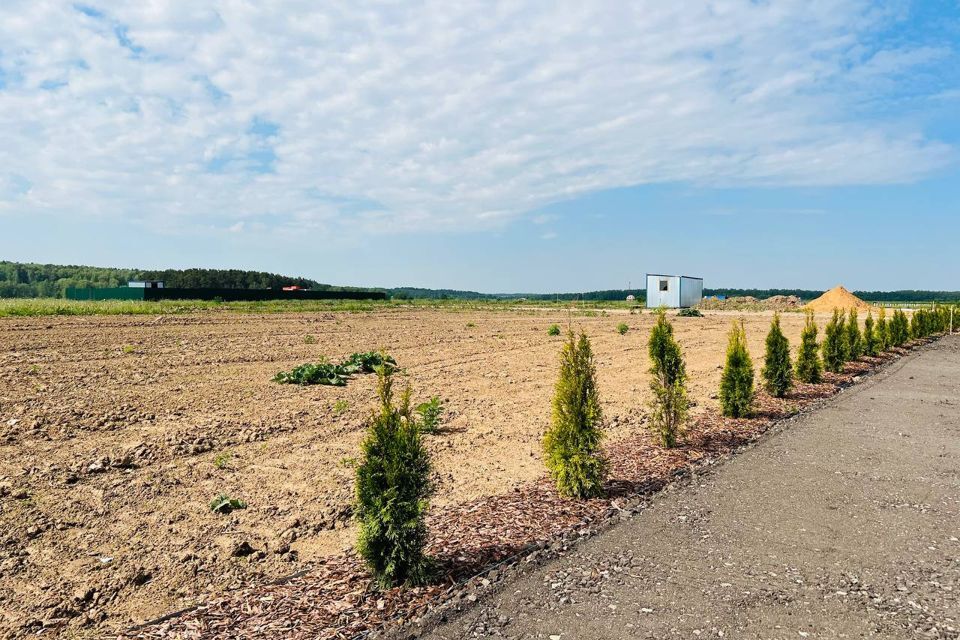 земля городской округ Серпухов д Барыбино 442, Домодедово городской округ фото 8