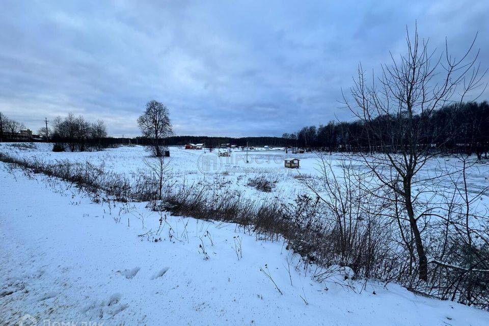 земля городской округ Домодедово д. Щеглятьево фото 6