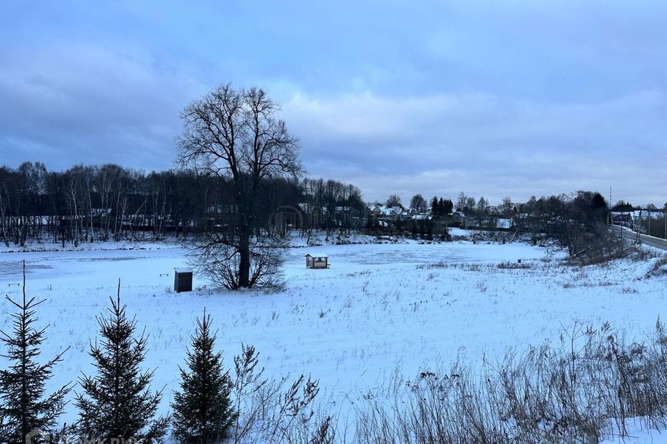 земля городской округ Домодедово д. Щеглятьево фото 9