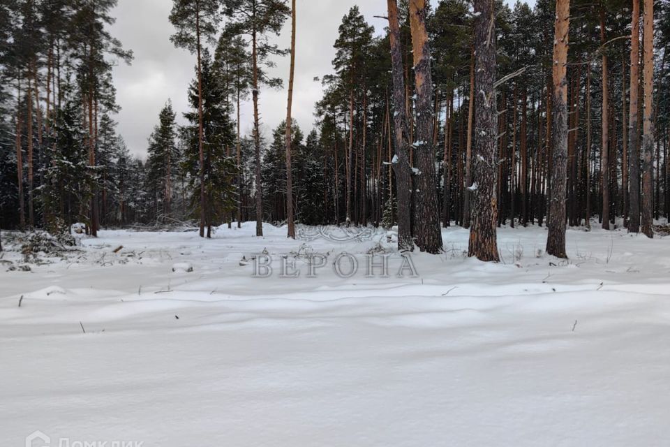 земля городской округ Богородский д. Пешково фото 5