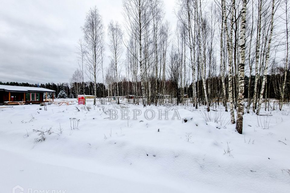 земля городской округ Богородский д. Пешково фото 5