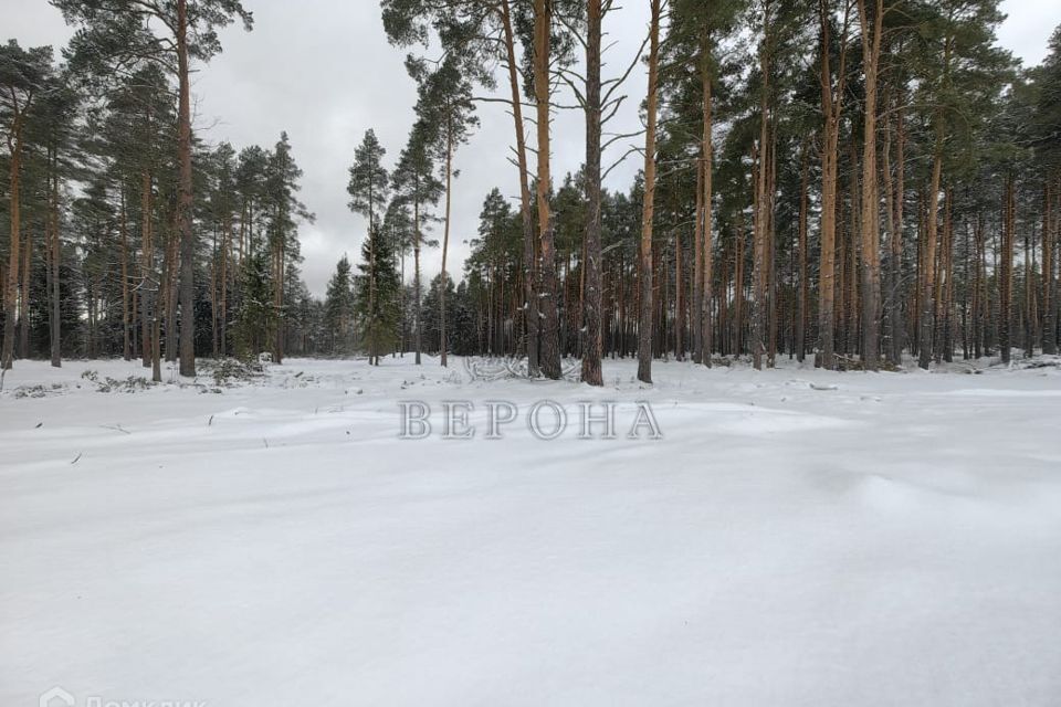 земля городской округ Богородский д. Пешково фото 6