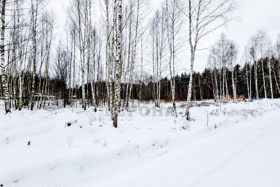 земля городской округ Богородский д. Пешково фото 7