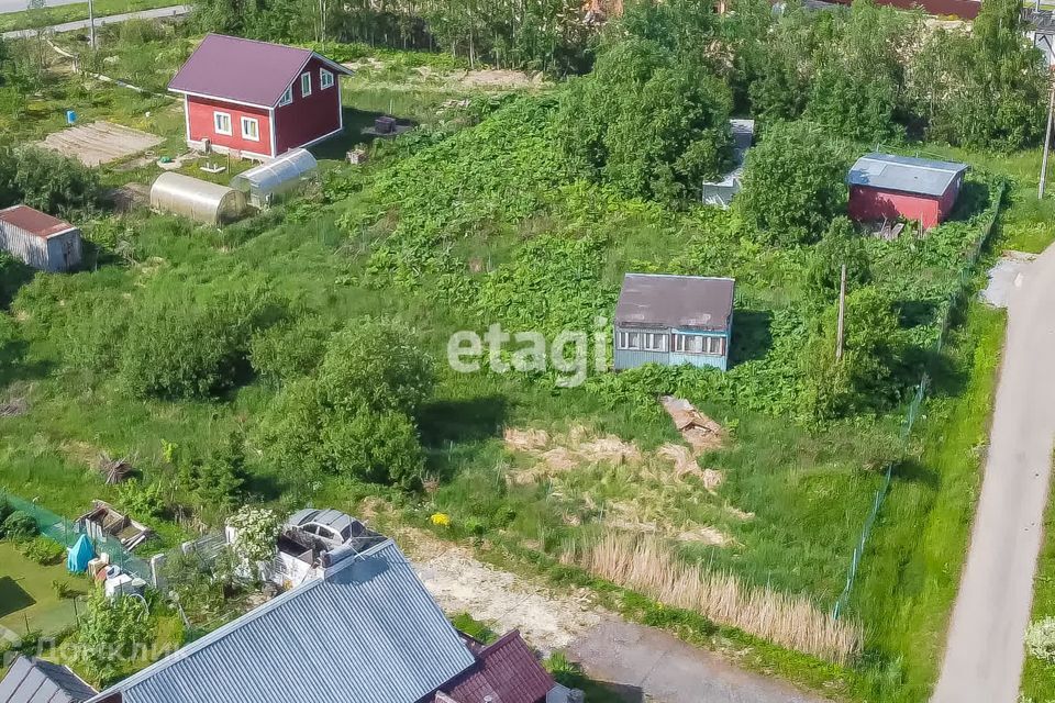 земля г Санкт-Петербург Петродворцовый, улица Новые Заводы, 57 фото 7