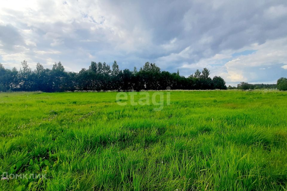 земля р-н Киришский д. Наволок фото 7