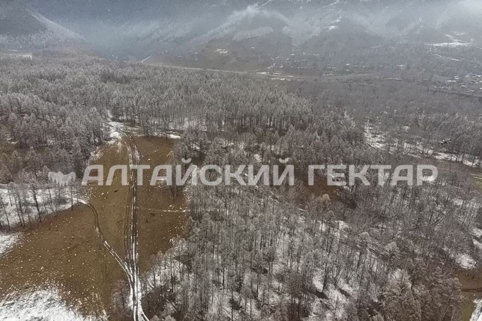 земля р-н Усть-Коксинский с Усть-Кокса ул Березовая фото 9