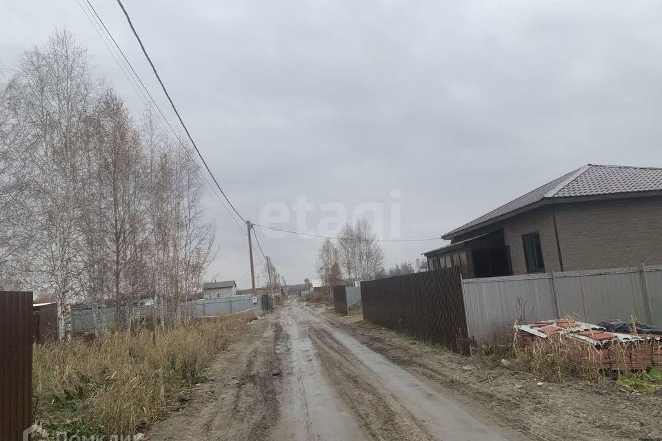 земля г Тюмень снт Надежда ул 1-я Тюмень городской округ фото 10