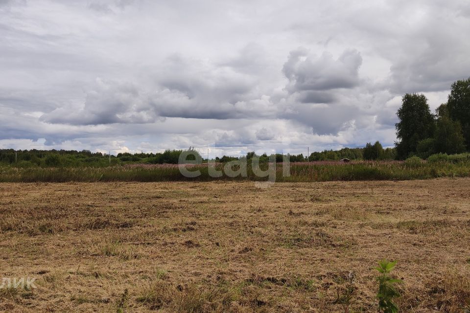 земля г Тюмень Тюмень городской округ, СО Зелёный бор фото 5