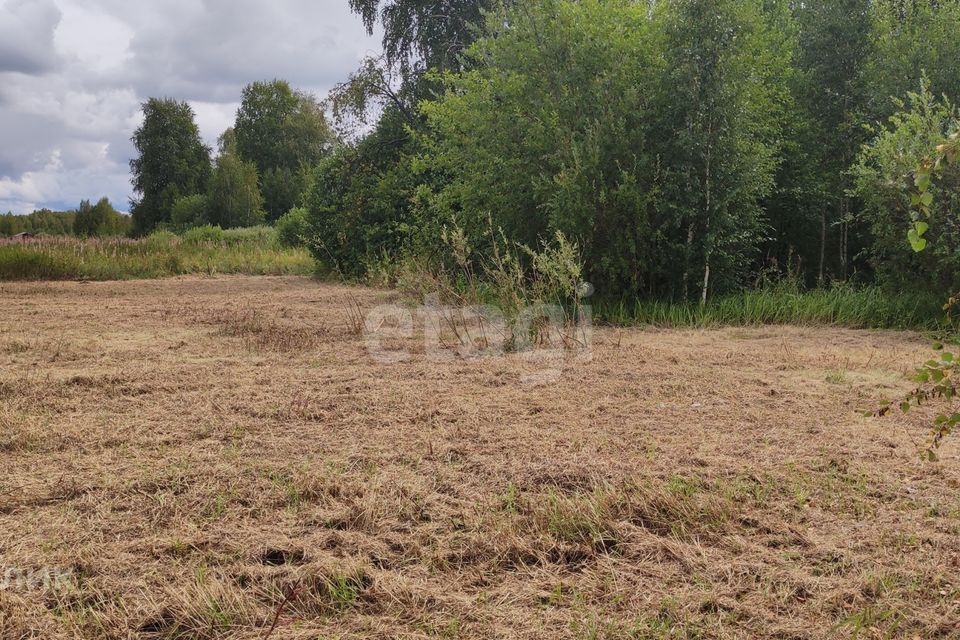 земля г Тюмень Тюмень городской округ, СО Зелёный бор фото 7