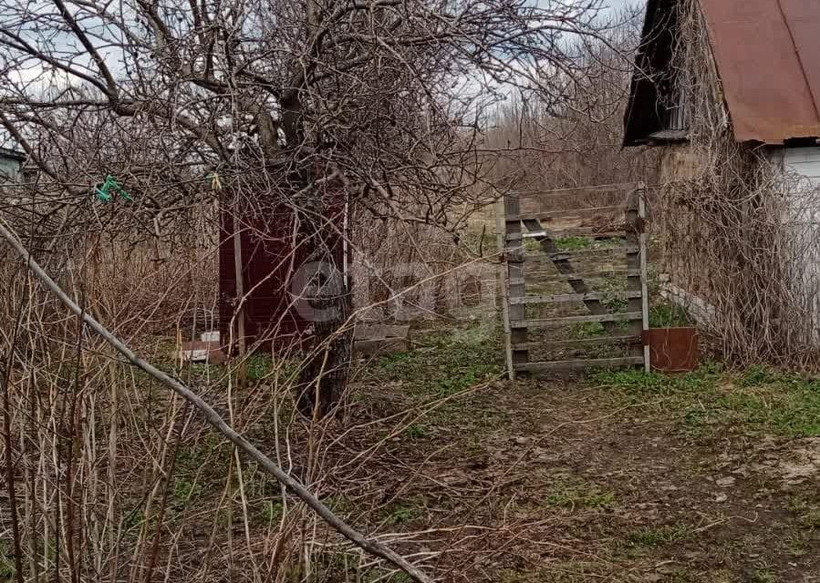 дом р-н Добринский Нижняя Матренка фото 5