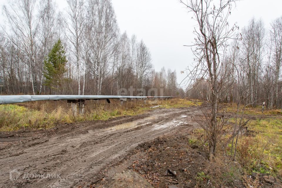 земля г Тобольск улица Центральная, 24, Тобольск городской округ фото 6