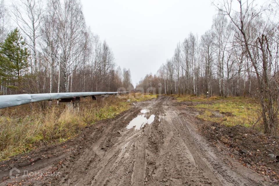 земля г Тобольск улица Центральная, 24, Тобольск городской округ фото 7