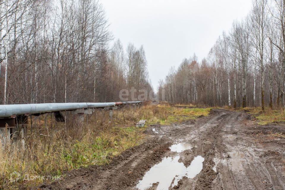 земля г Тобольск улица Центральная, 24, Тобольск городской округ фото 8