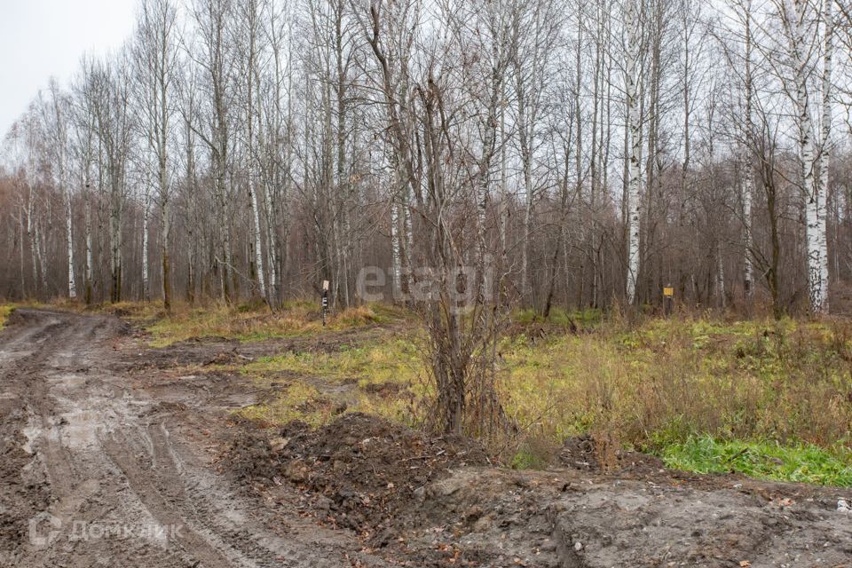 земля г Тобольск улица Центральная, 24, Тобольск городской округ фото 5