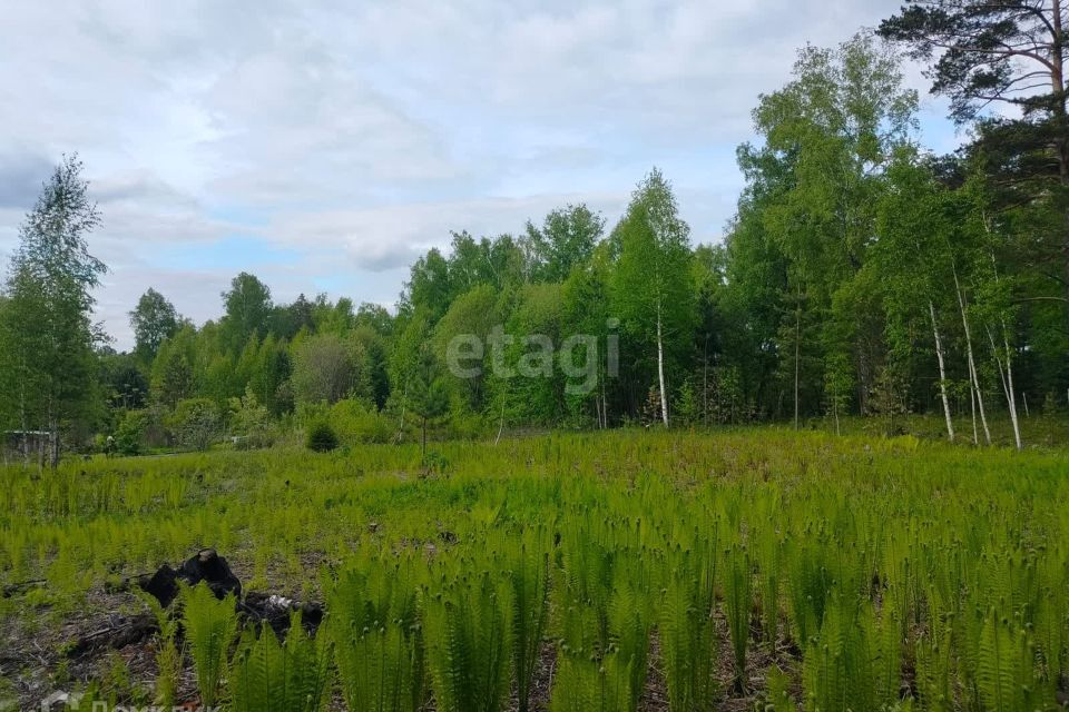 земля ЗАТО Железногорск городской округ, СТ Рассвет фото 5