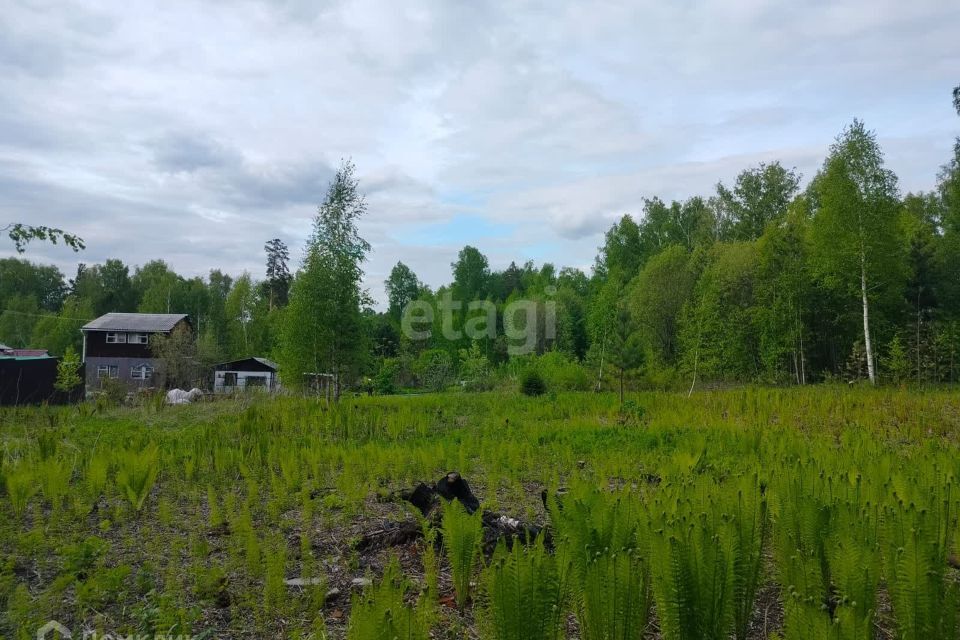 земля ЗАТО Железногорск городской округ, СТ Рассвет фото 6