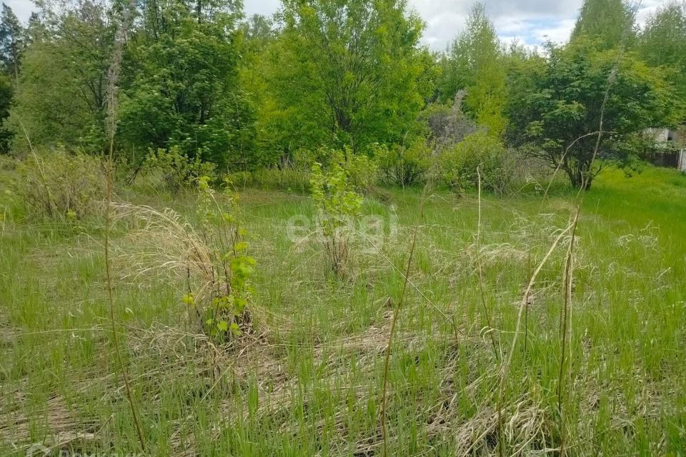 земля ЗАТО Железногорск городской округ, СТ Рассвет фото 5