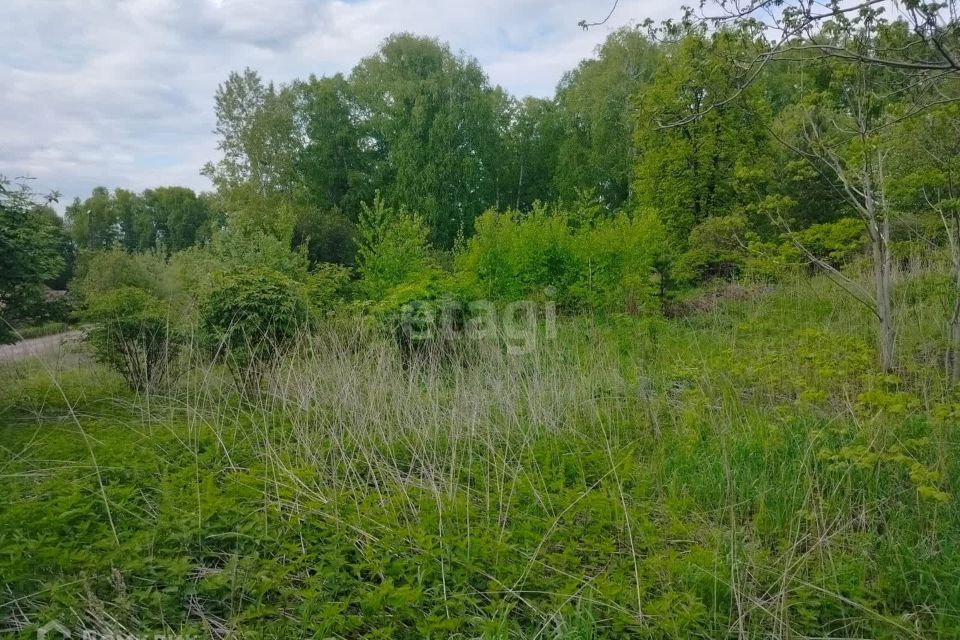 земля ЗАТО Железногорск городской округ, СТ Рассвет фото 5