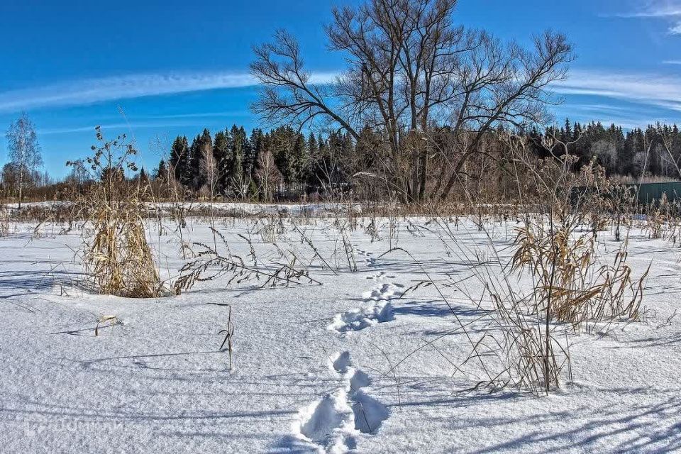 земля ЗАТО Железногорск городской округ, СТ №52, Средняя, 2 фото 10