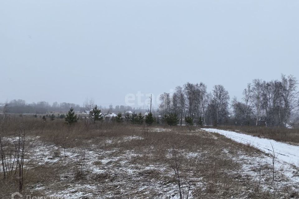 земля р-н Первомайский п Новый Александрова Слобода фото 6