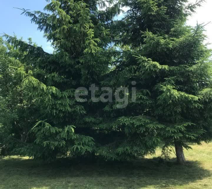 земля г Калининград Калининград городской округ, СТ Фрегат фото 10