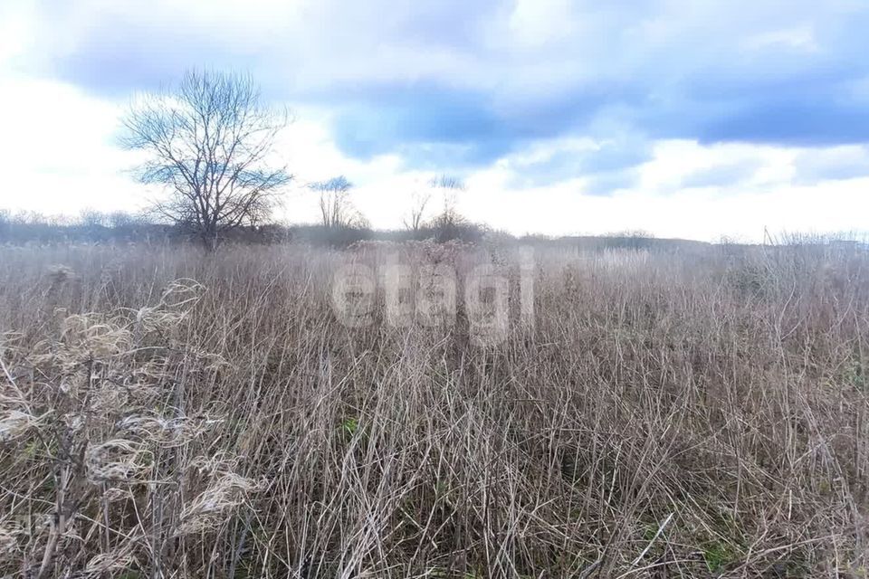 земля р-н Зеленоградский п Сиренево Сооружение фото 6