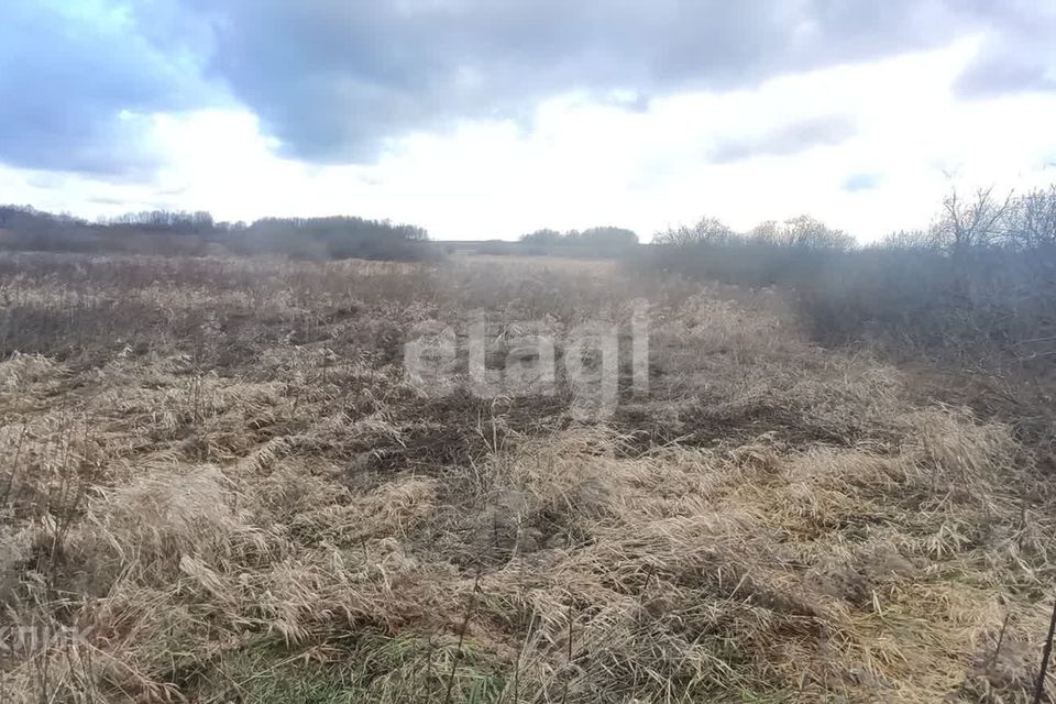 земля р-н Зеленоградский п Сиренево Сооружение фото 7