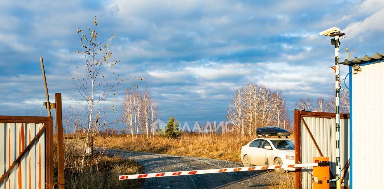 земля р-н Новосибирский п Воробьевский снт Реестр сельсовет, ДНТ, Кудряшовский фото 11