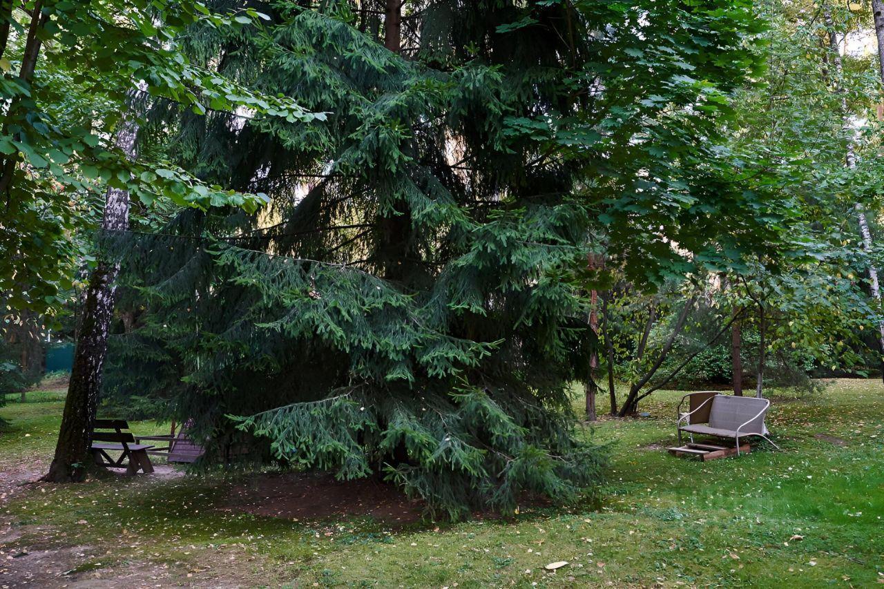 квартира городской округ Одинцовский Бирюзовая улица, Москва фото 39