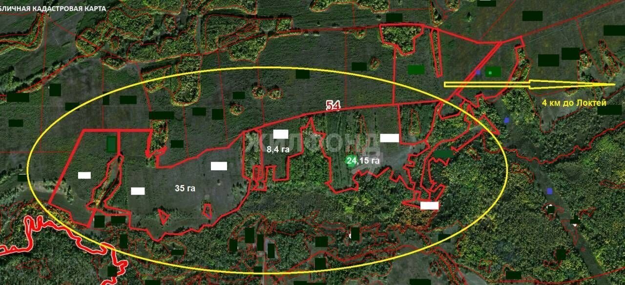 земля р-н Мошковский с Локти ул Советская Сокур фото 2