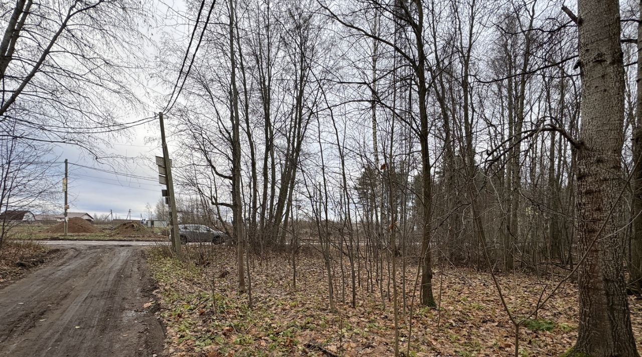 земля р-н Всеволожский Рахьинское городское поселение, пос. При железнодорожной станции Ириновка фото 2