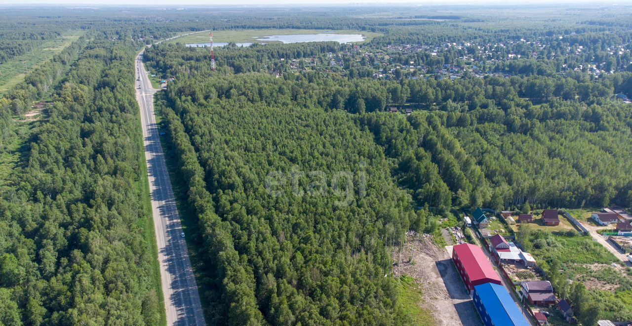 земля р-н Нижнетавдинский снт Зеленый Луг Тюмень фото 9